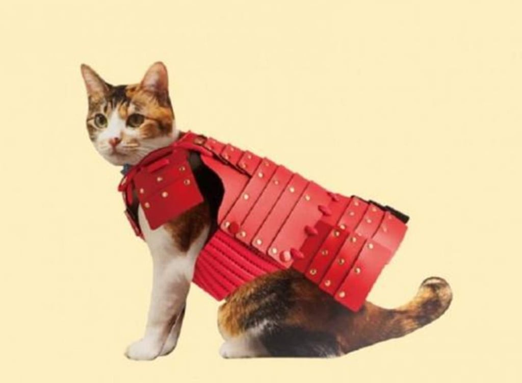 Crean una armadura samurái para gatos