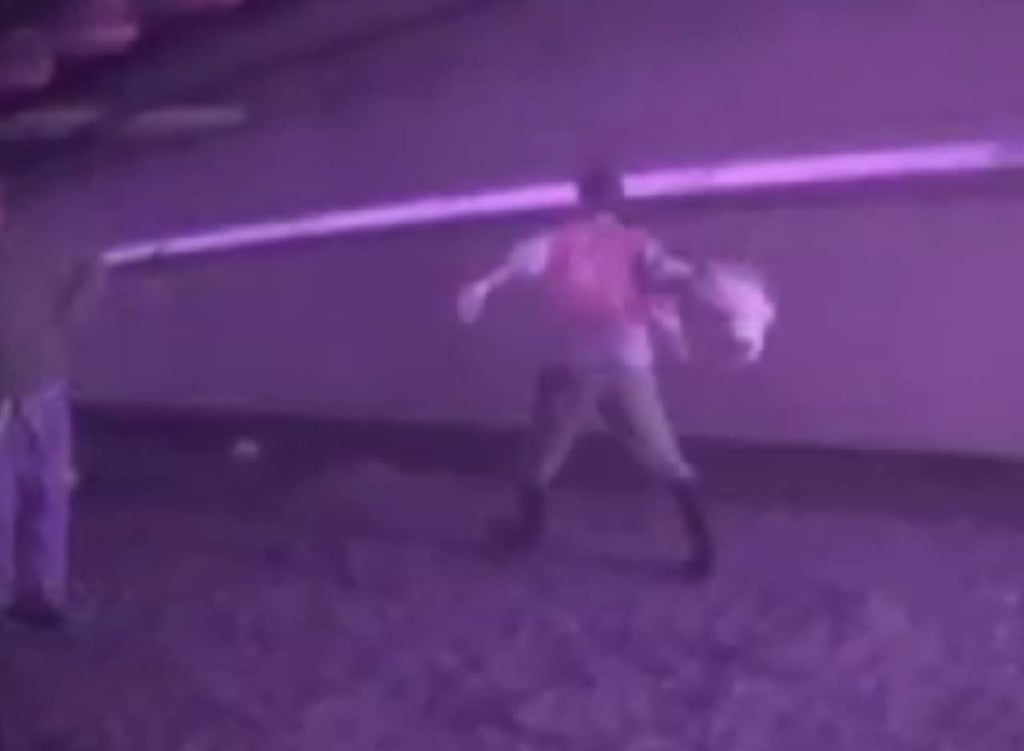 Difunden vídeo de maltrato animal en granjas de pollos