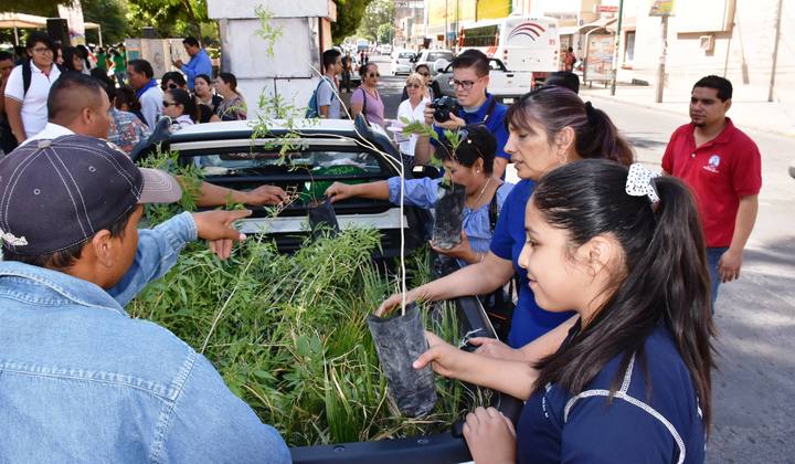 Celebran el Día Mundial del Árbol