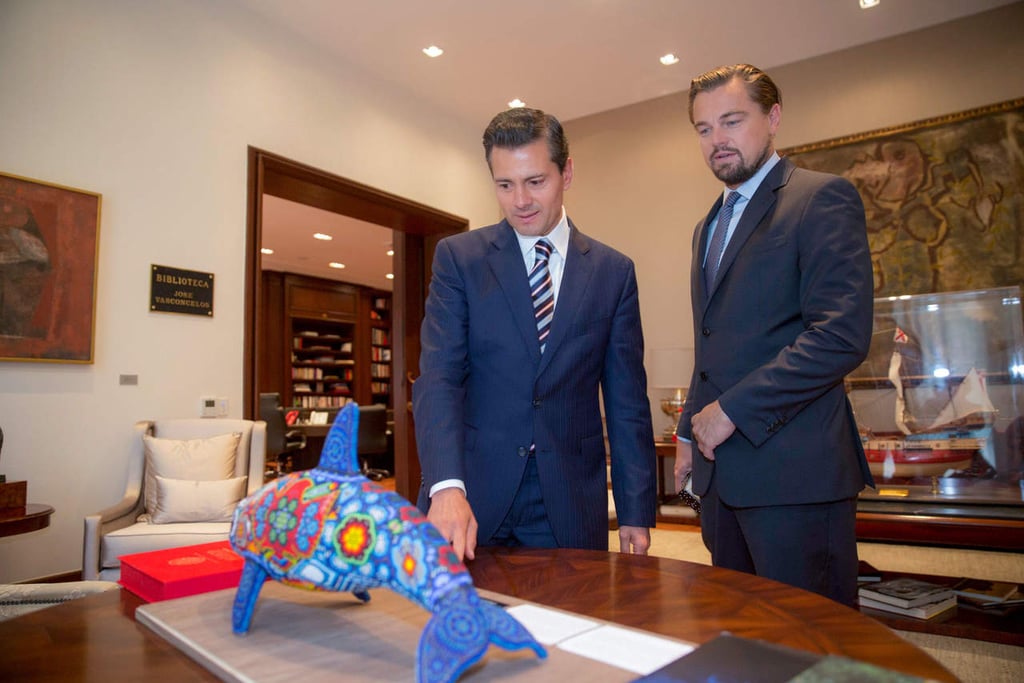 Agradece Leonardo DiCaprio veda para proteger la vaquita marina