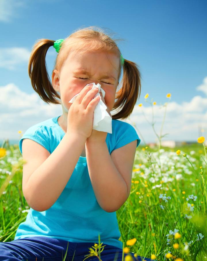 Cosas que provocan alergias y cómo evitarlas