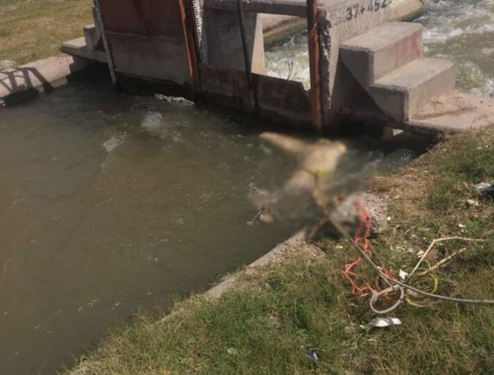 Hallan cadáver en un canal de riego