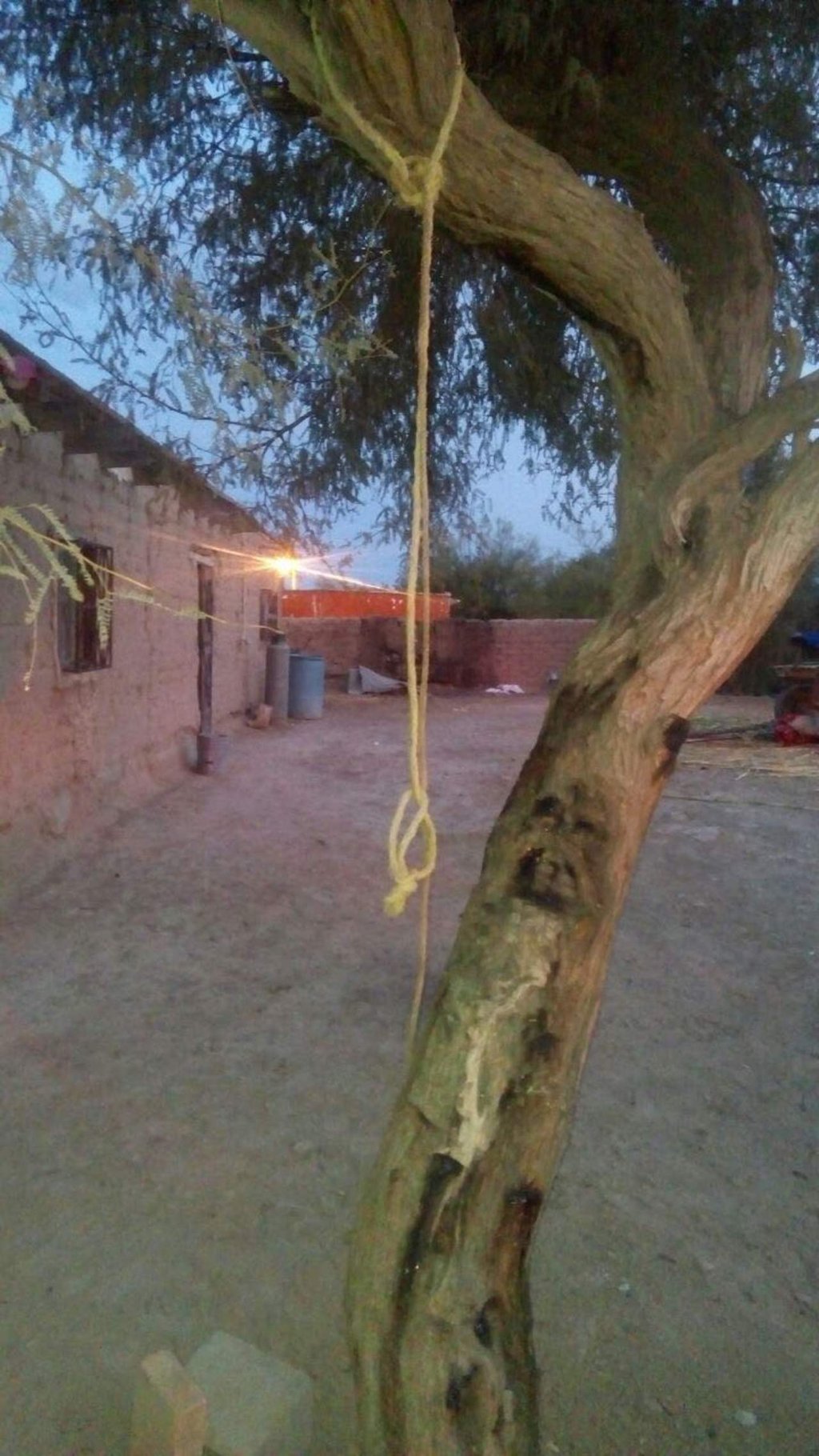 Se cuelga de un árbol para suicidarse