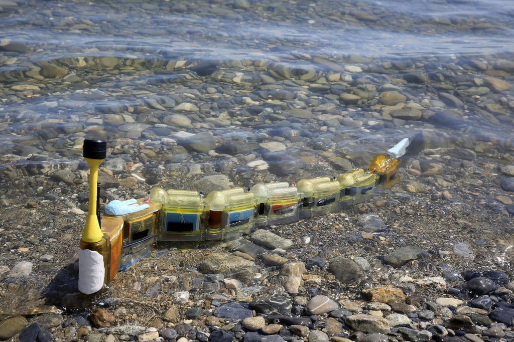 Anguila robótica detecta fuentes de polución mientras nada