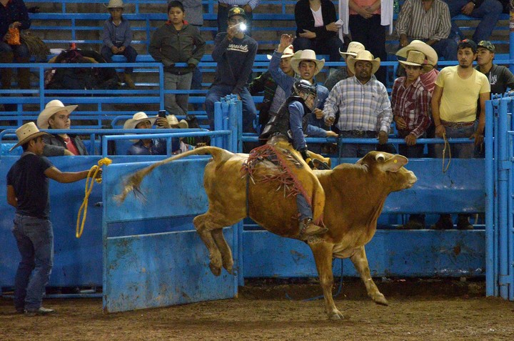 Se mantiene el rodeo universitario
