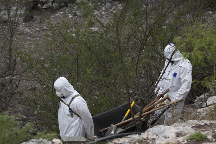 Zacatecas: localizan fosa con 14 cuerpos