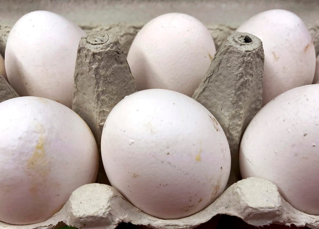 Detienen a dos en Holanda por escándalo de huevos contaminados