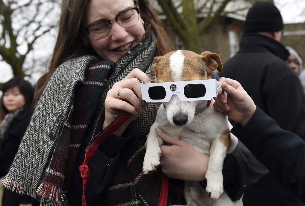 Eclipse también puede afectar visión de las mascotas