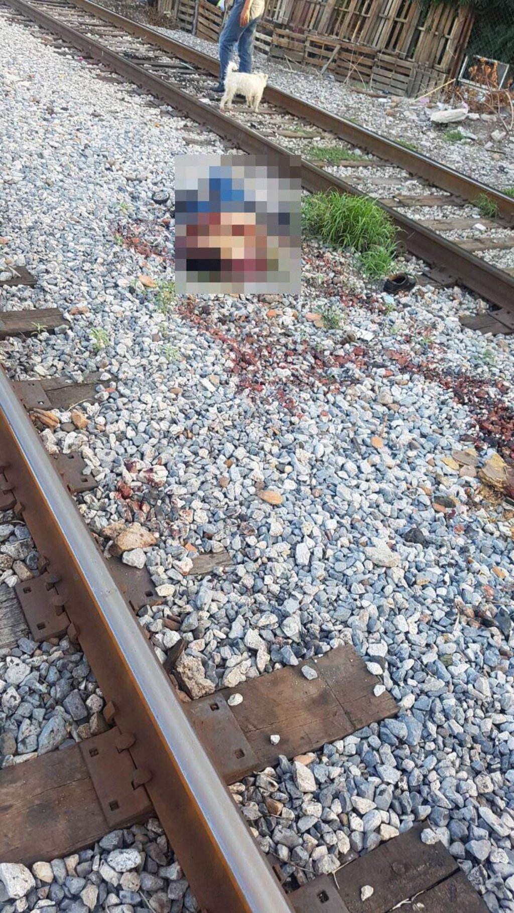 Inmigrante cae de tren y muere