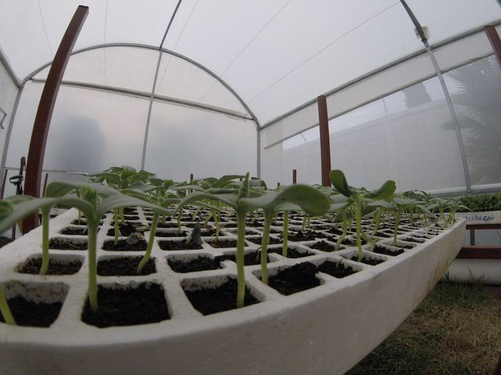 Sedesoe apuesta al autoconsumo