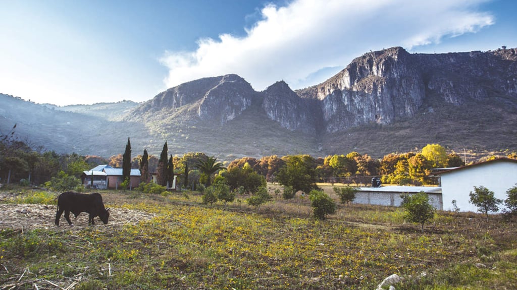 Santiago Apoala, belleza en códice