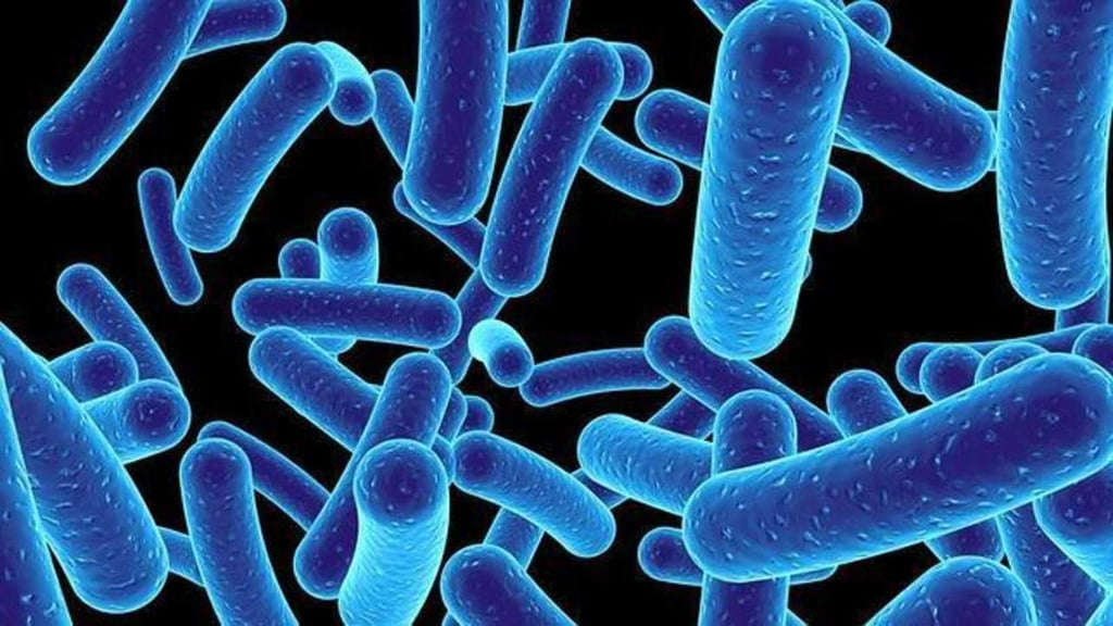 Microbios intestinales pueden influir en desarrollo de esclerosis múltiple