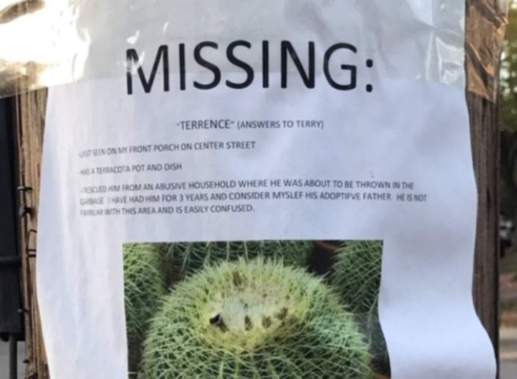 Alguien puso un letrero en las calles para encontrar su ‘cactus perdido’