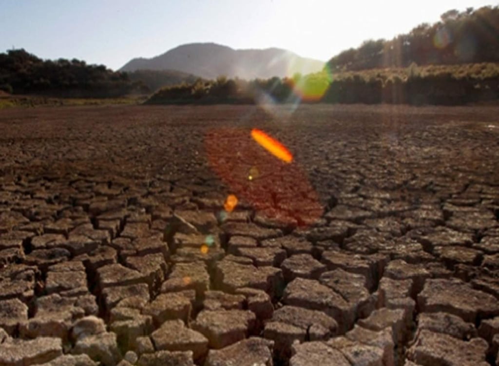 Fórmula matemática predice una extinción masiva para 2100