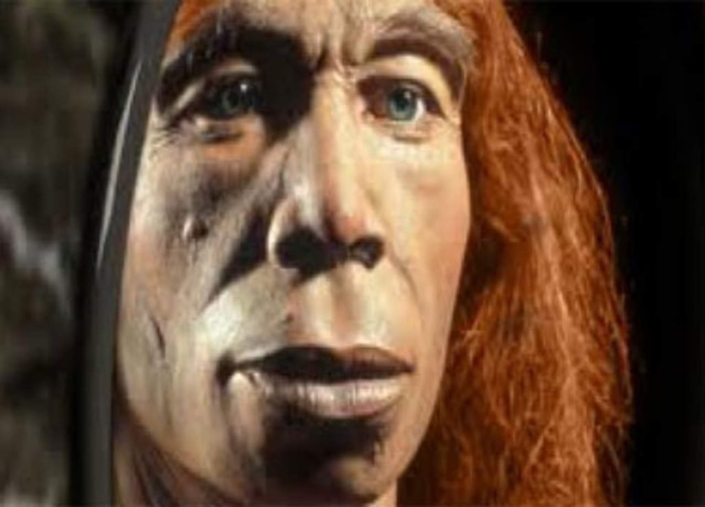 Neandertales crecían tan despacio como los humanos modernos