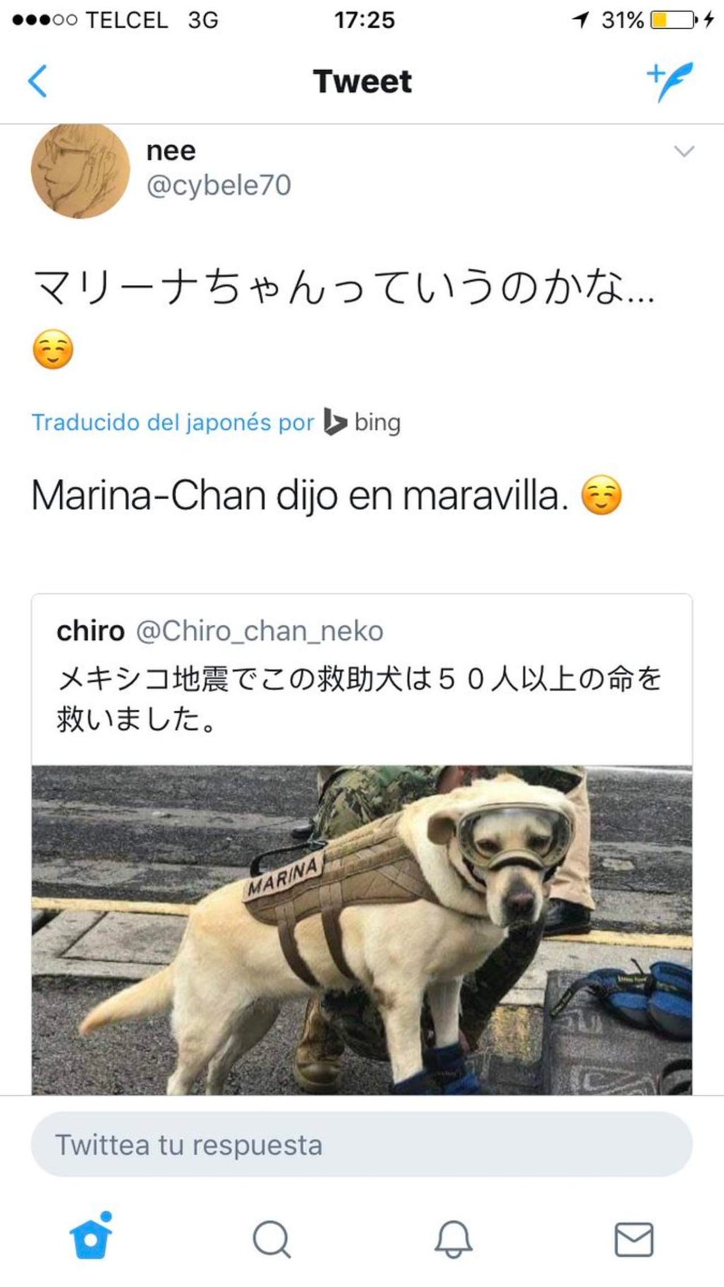 Encanto de Frida llega a Japón; creen que se llama 'Marina'