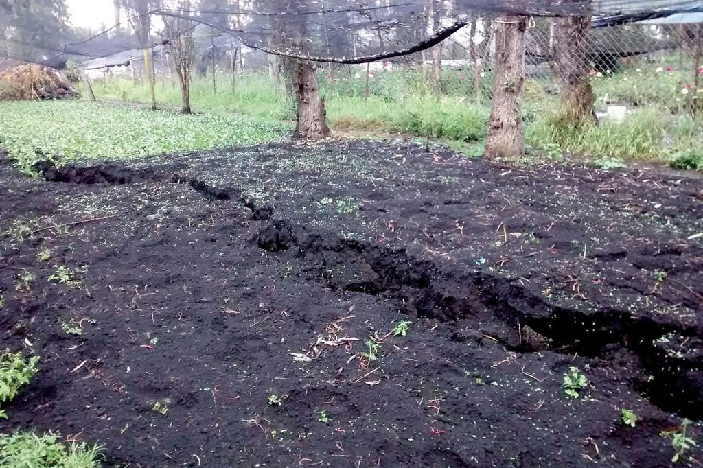 Sismos afectan por zonas más que por tipo de suelo: UNAM