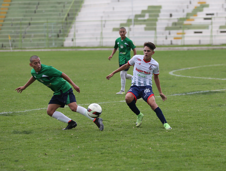 Alacranes, con veneno efectivo