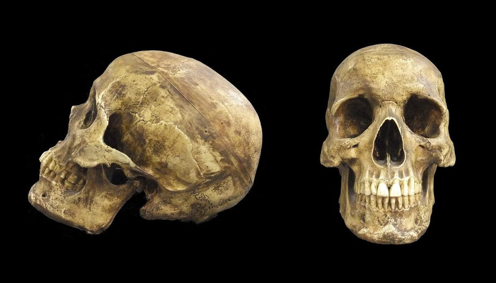 Sitúan origen del Homo sapiens 350,000 años atrás