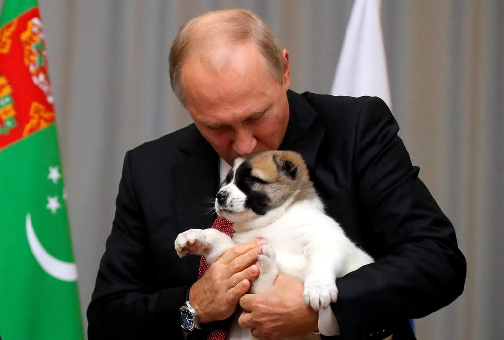 Enternece foto de Putin con cachorro que le regalaron