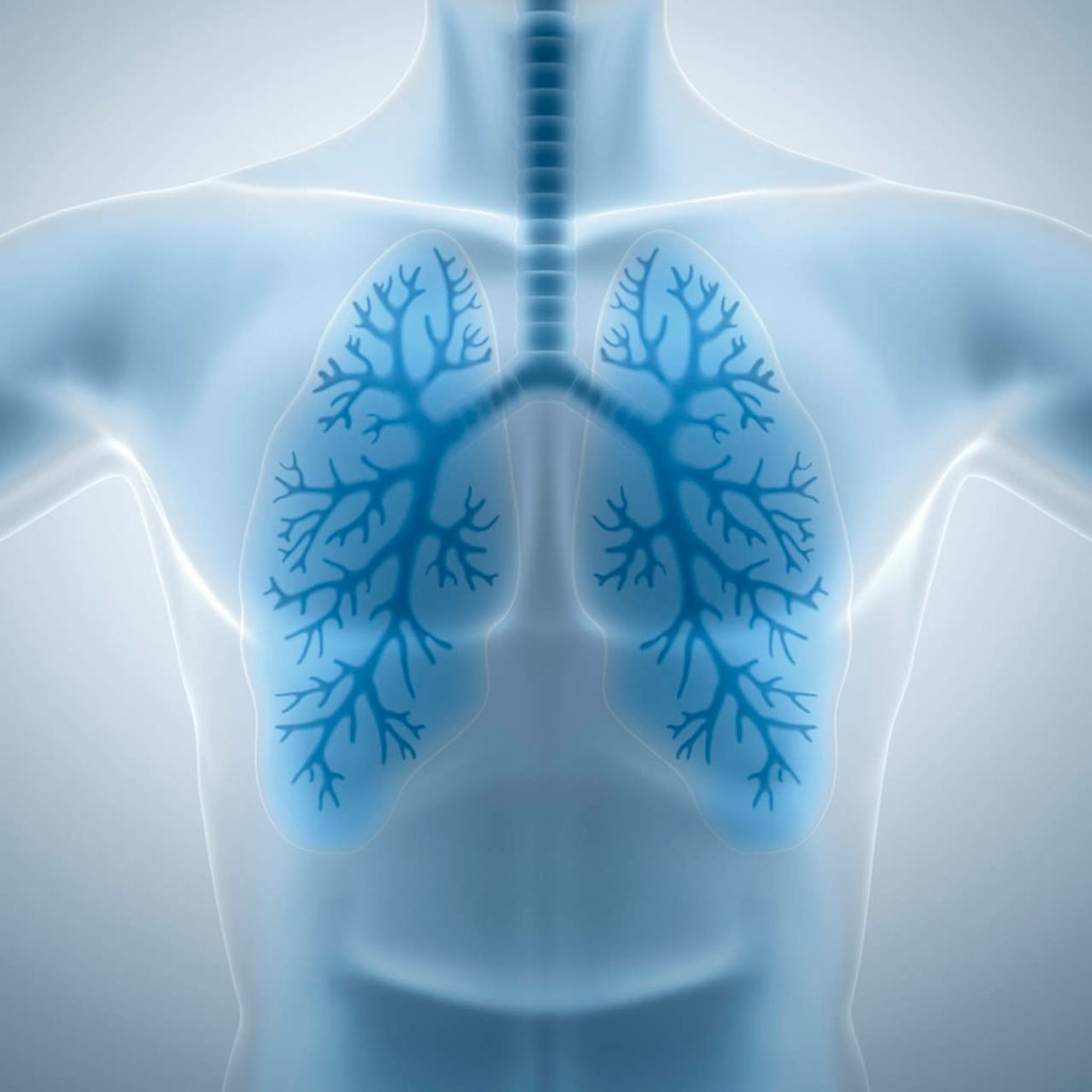 Hallan molécula que predice hipertensión arterial pulmonar