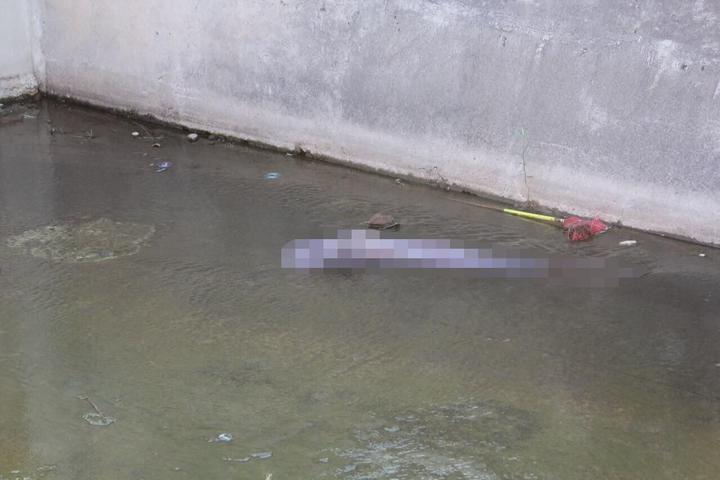 Encuentran neonato muerto al interior de arroyo