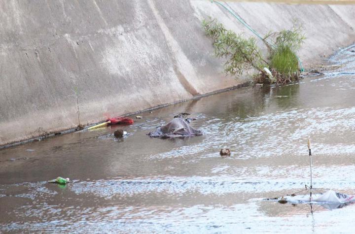 Tiran restos de bebé a un arroyo