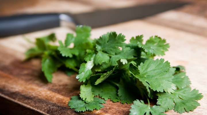 El poder del cilantro