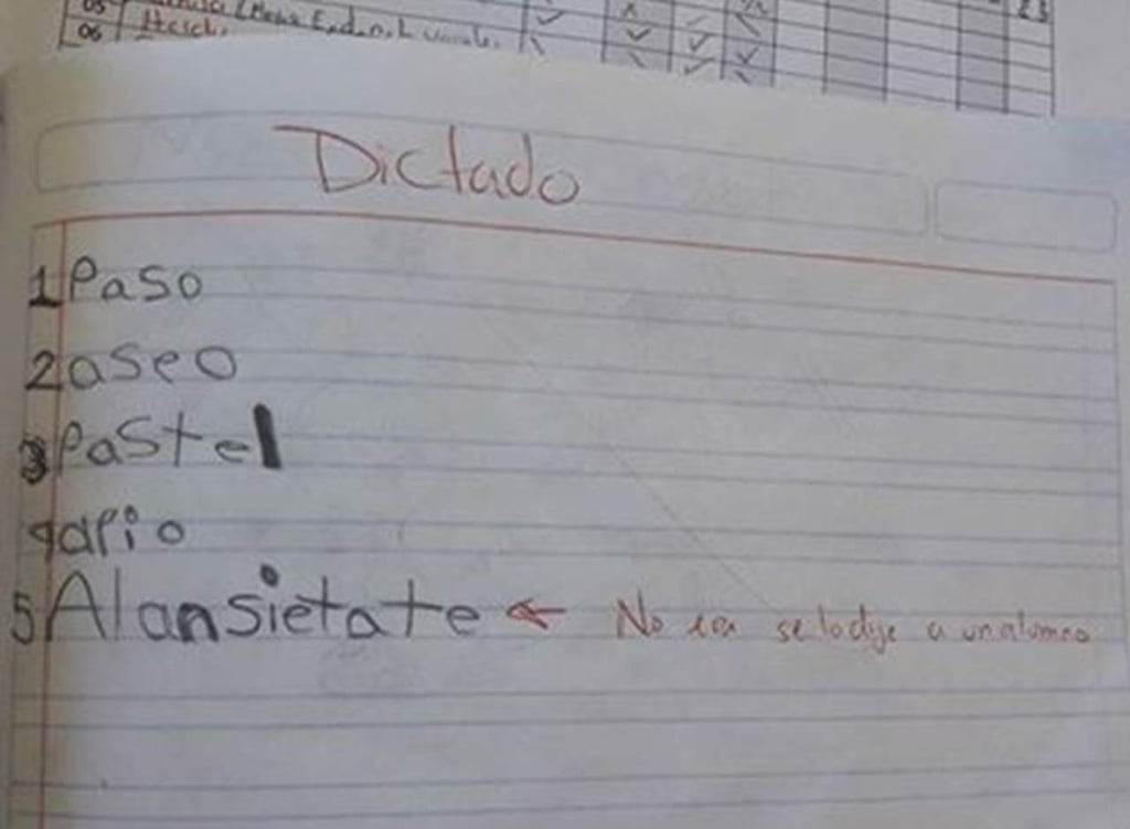 El dictado de un niño de 6 años se hace viral en la red