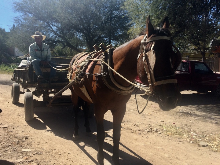 Durango: su cielo y su gente