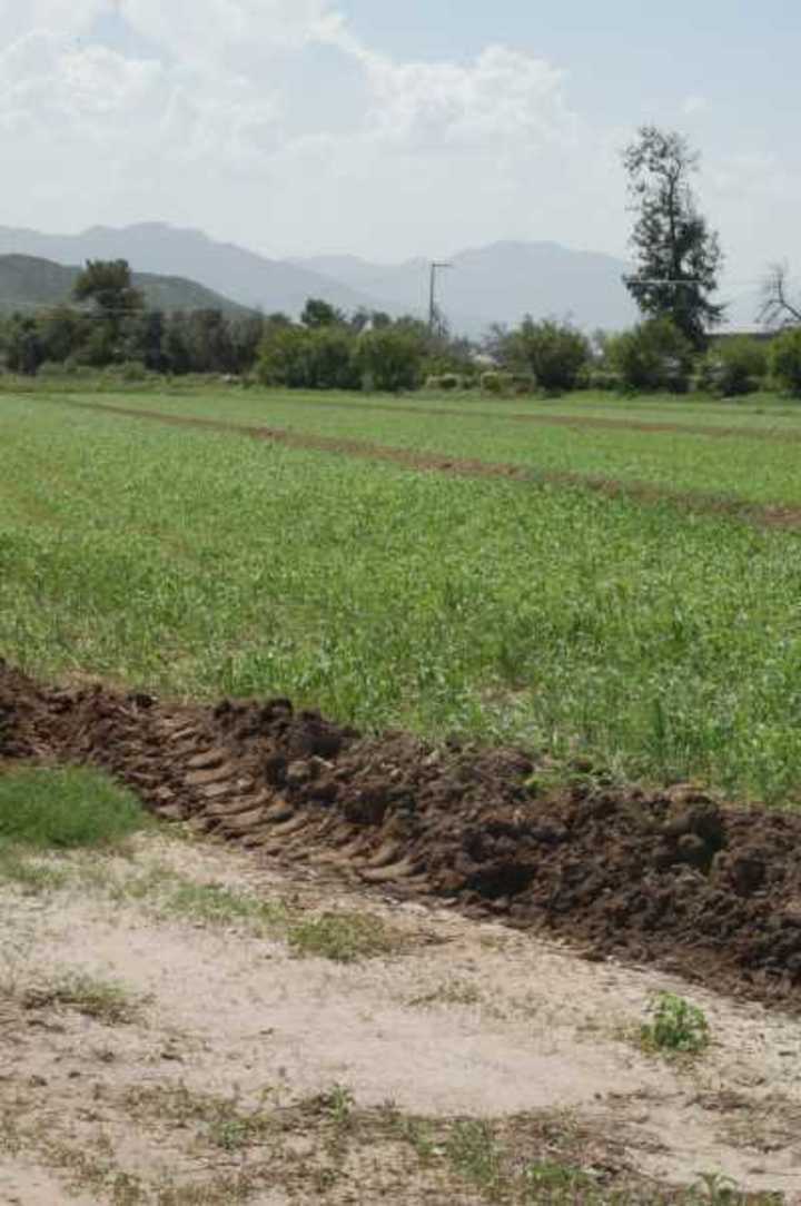 Más dinero para el campo de Durango