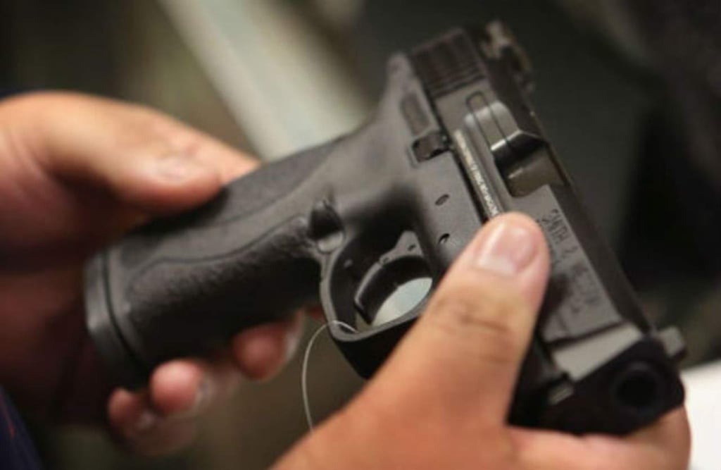 Wisconsin autoriza a niños usar armas para cazar
