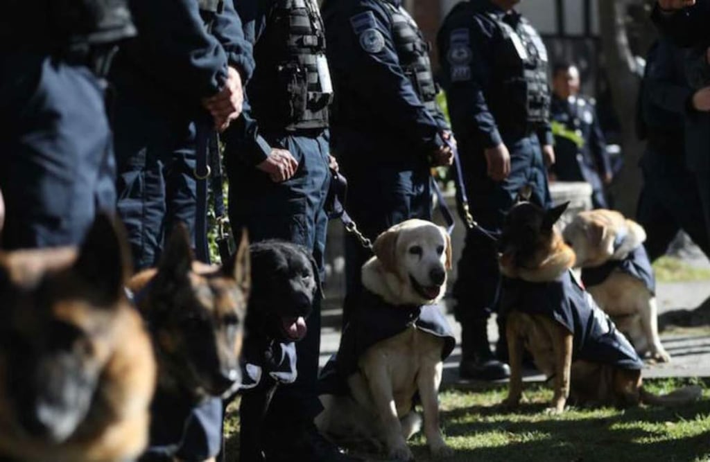 Se jubilan 14 oficiales caninos de la Policía Federal