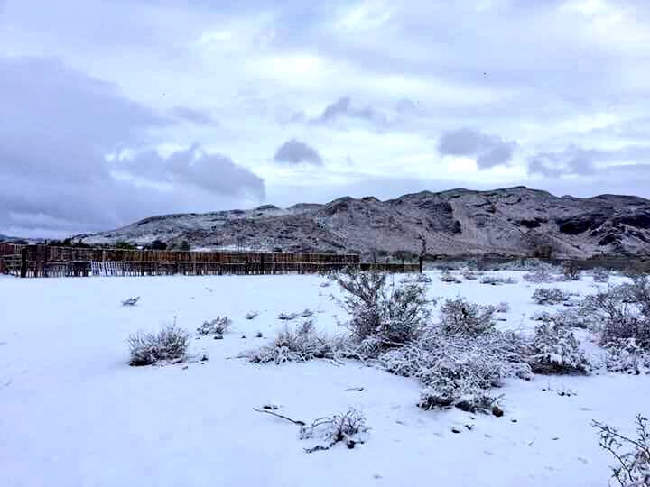 Con nieve, casi todo el estado