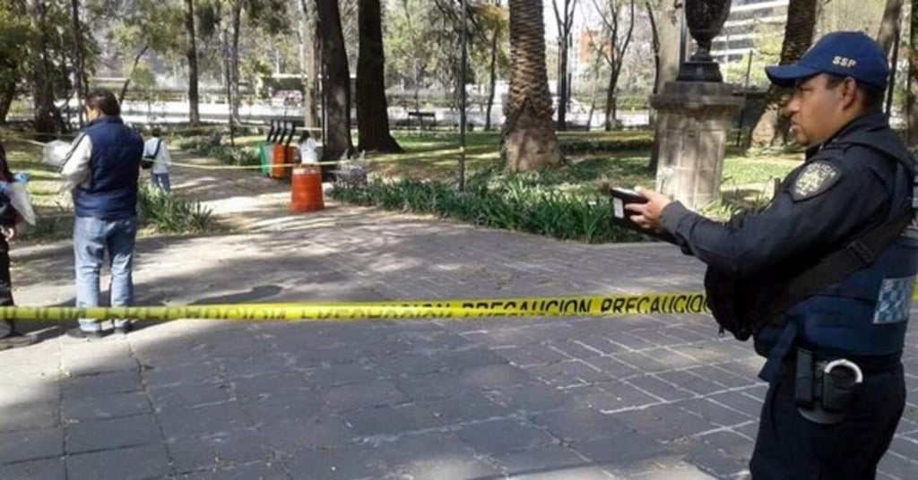 Encuentran feto en Bosque de Chapultepec