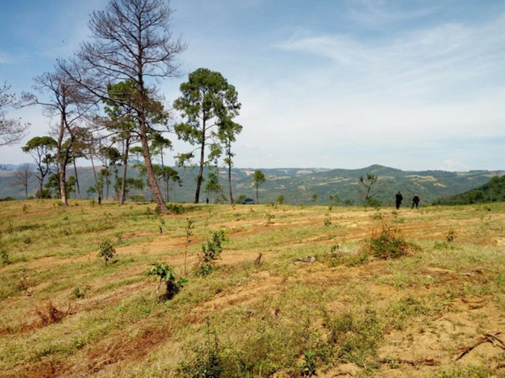Constante, la venta irregular de terrenos