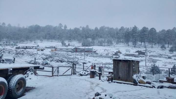 Tres municipios de Durango registran nevadas
