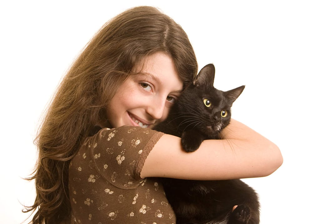Esterilización de gatos evita contagio de enfermedades infecciosas