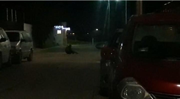 Hallan atados a mujer e hijo en La Ferrería