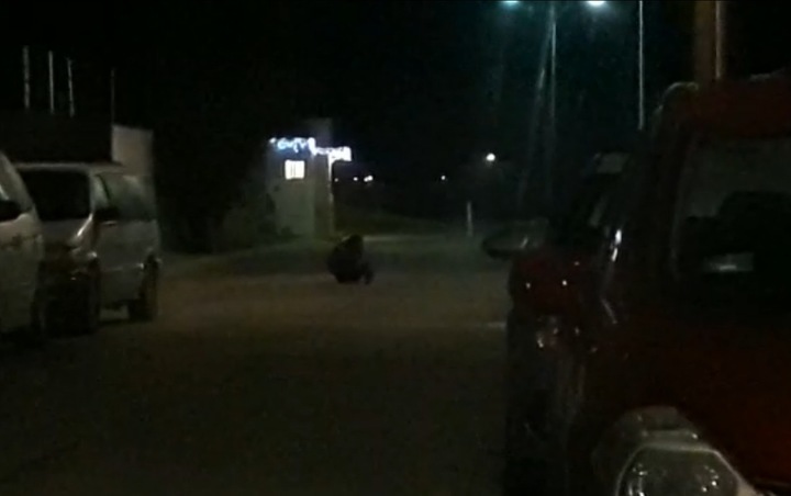 Hallan atados a mujer e hijo