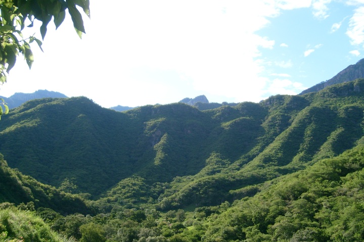 Temperatura sube hasta los 38° C