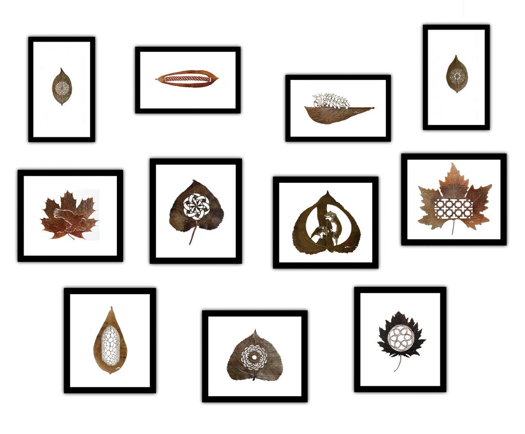 Lorenzo Durán, la infinitud de la hoja