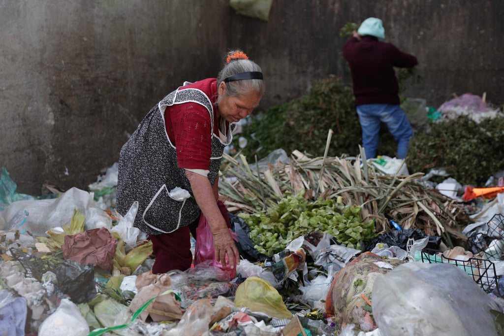 México tira a la basura 20 millones de toneladas de comida por año