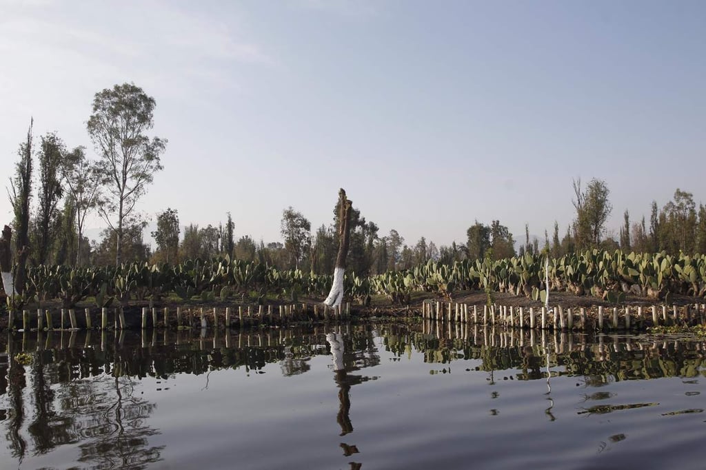 En extinción las chinampas de Xochimilco
