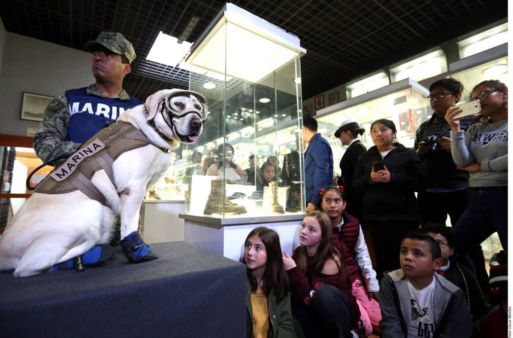 Dona la perrita Frida sus botitas a museo