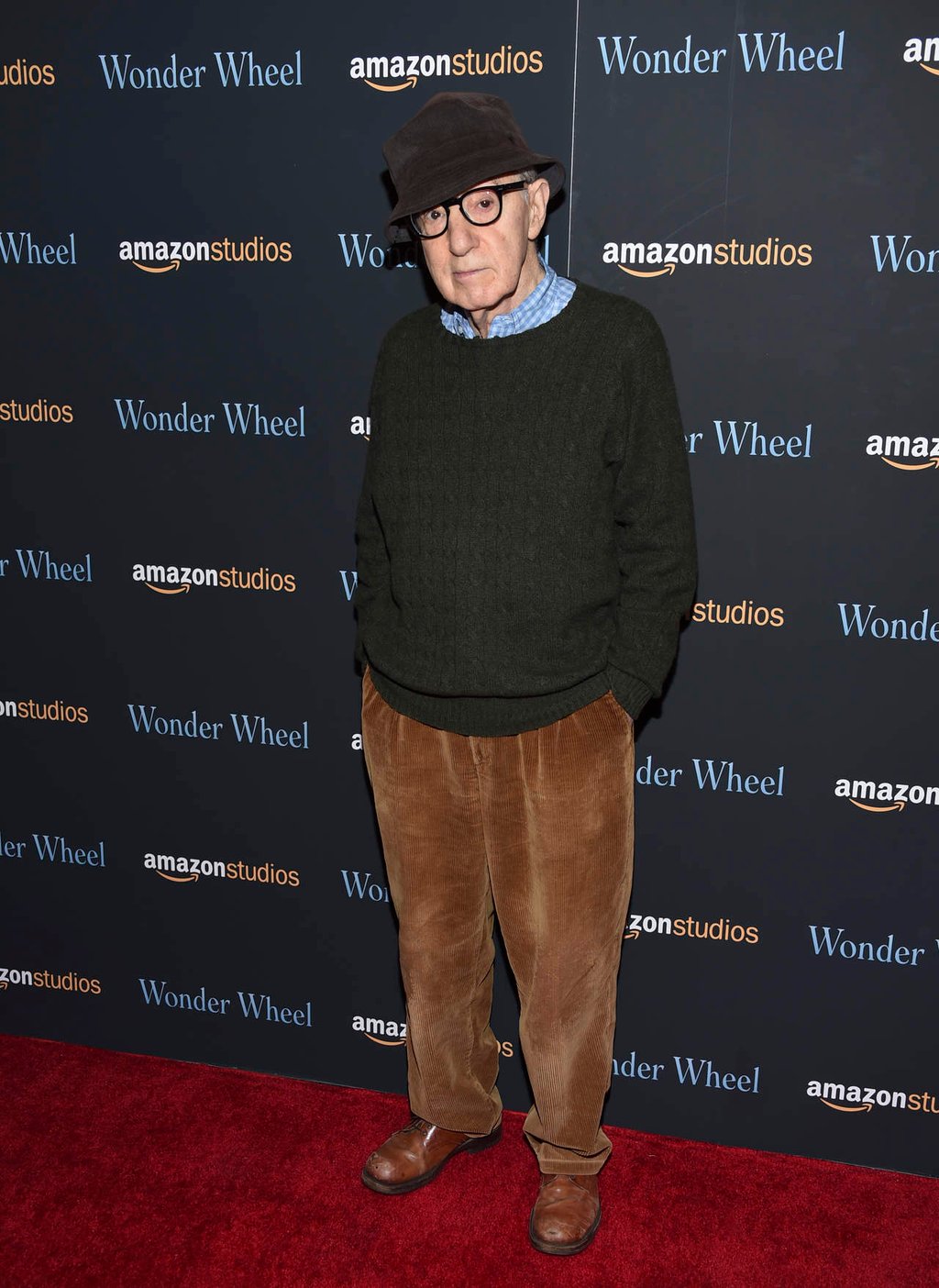 En riesgo, cinta de Woody Allen