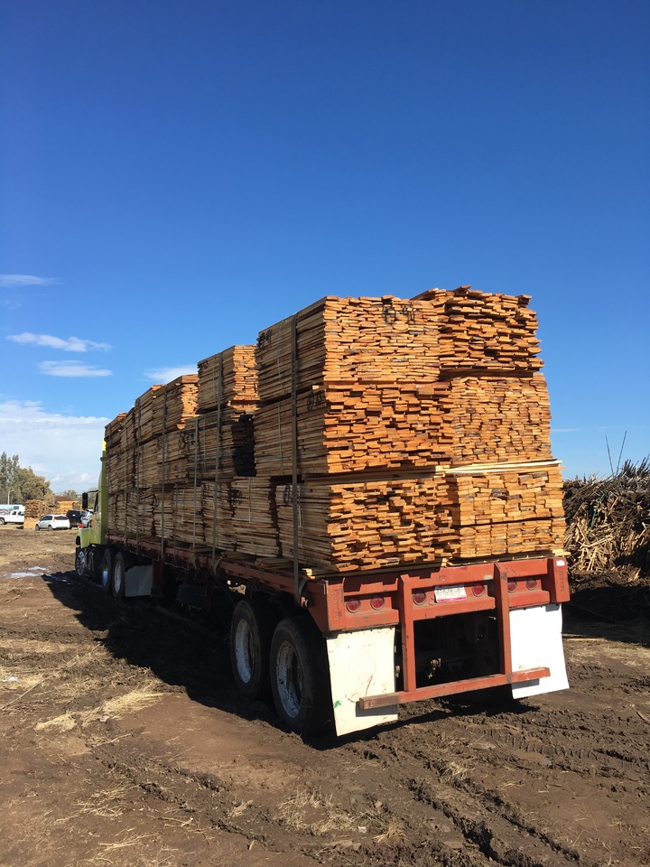 Conafor invertirá 230 mdp en Durango