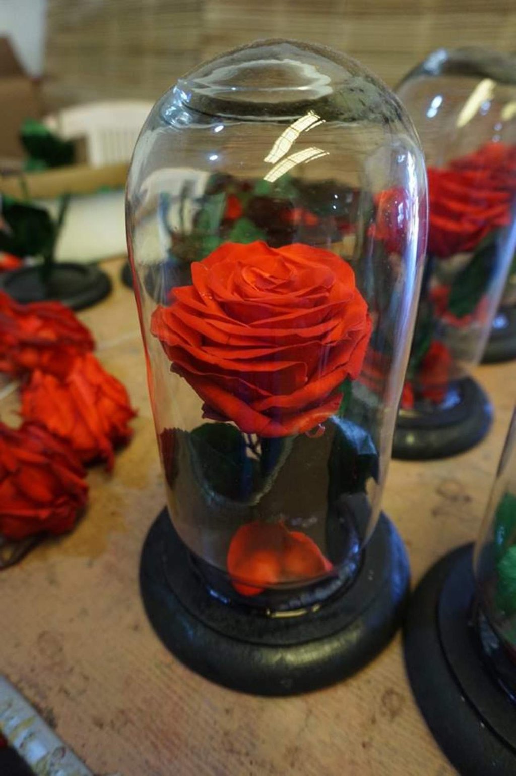 'Flores eternas', una opción diferente en San Valentín