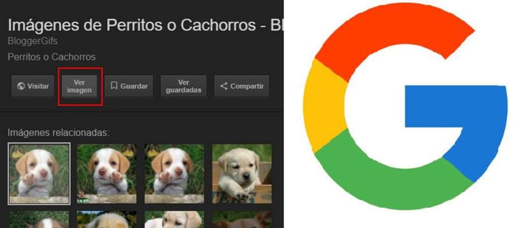 Google retira el botón 'Ver imagen' del buscador