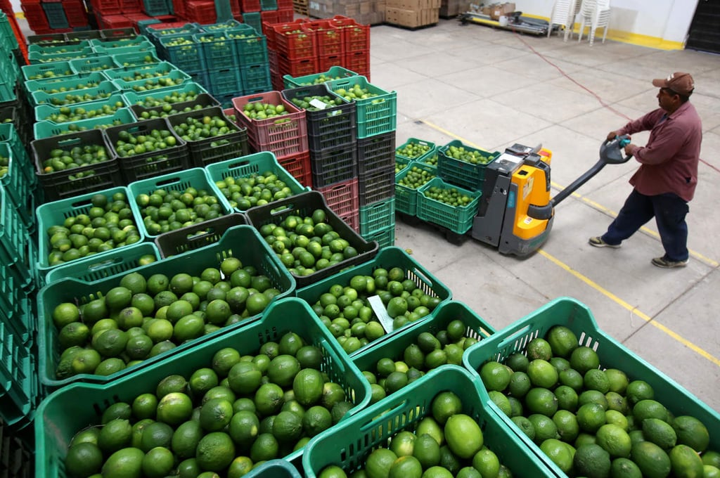 Limón tiene el alza más cara de entre los productos básicos